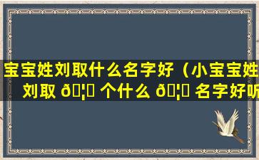宝宝姓刘取什么名字好（小宝宝姓刘取 🦅 个什么 🦆 名字好听）